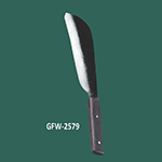GFW 2579