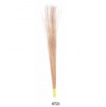 COCO BROOM  01